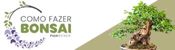 Como fazer Bonsai – Fabiano Costa